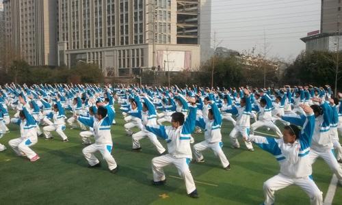 中国体育报：海南武协打造社会化协会  与爱动体育结缘推广武术进校园