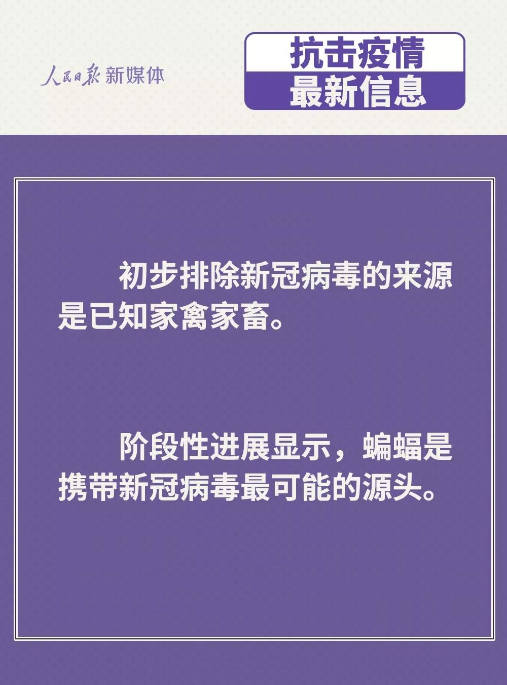 鸡鸭会传播病毒？疫苗研究得怎样？抗疫最新信息，你要知道